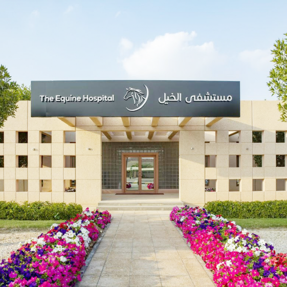 The Equine Hospital